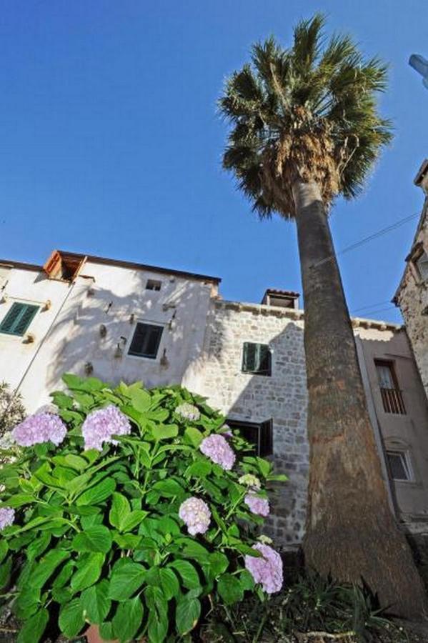 Appartement Blue Symphony Old Town à Dubrovnik Extérieur photo
